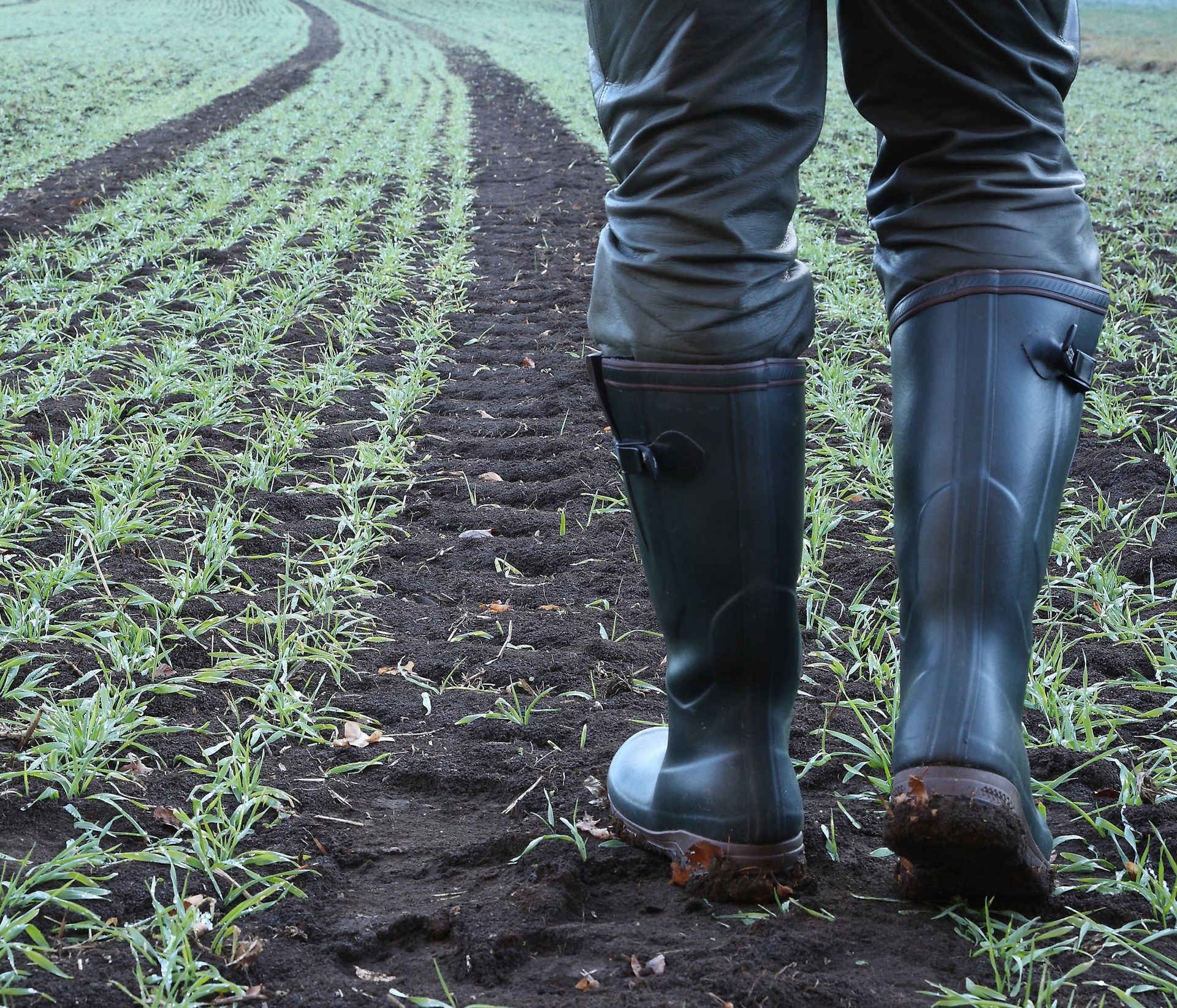 a farmer walking in a field